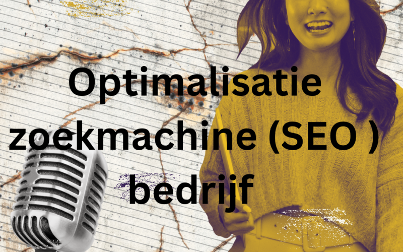 Optimalisatie zoekmachine (SEO ) bedrijf 