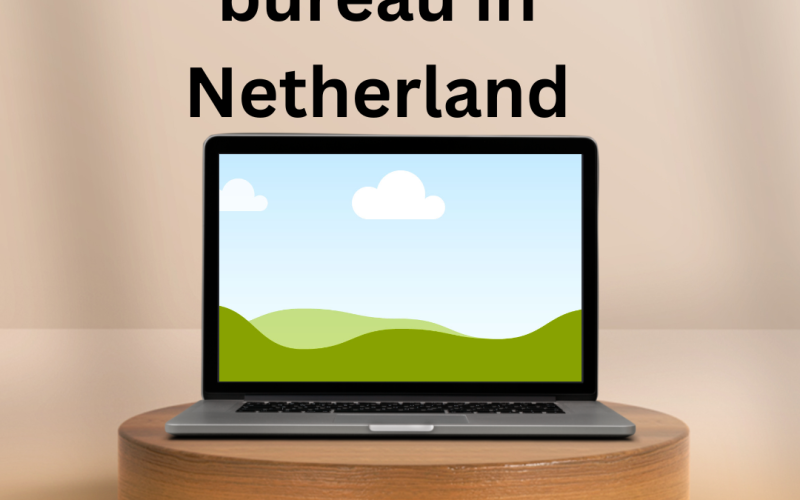 Seo optimalisatie bureau in Netherland